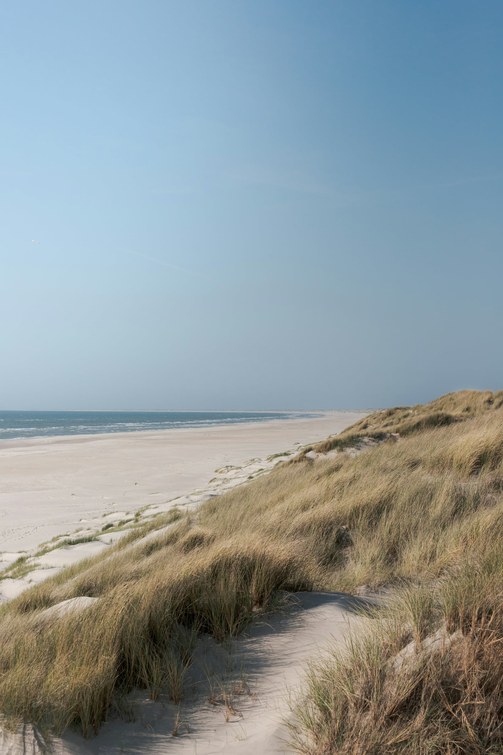 A sandy path runs through grassy dunes toward an empty beach and calm sea beneath a soft blue sky.