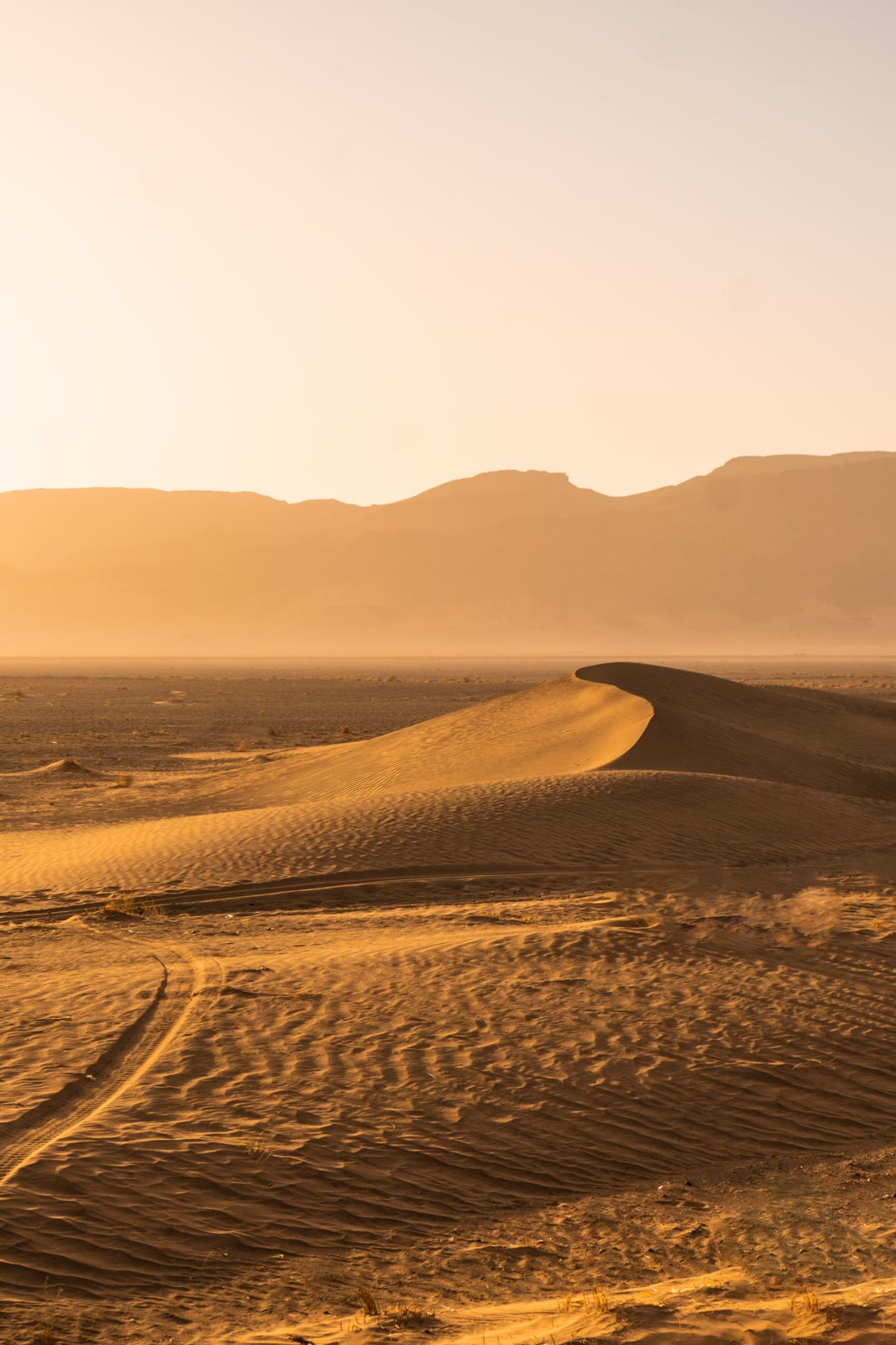 Golden desert dunes